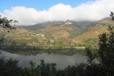 Viseu Private Transfer to Oporto Airport Viseu Private Transfer to Oporto Airport