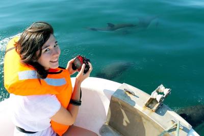 Dolphin Watching from Fuzeta