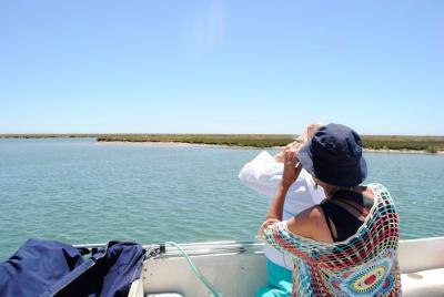 2-hour Bird Watching Guided Boat Trip in Ria Formosa from Faro Al