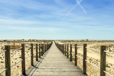 Paradise Skate Experience