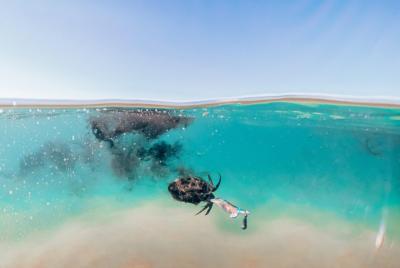 Let Let's Talk About Fishing