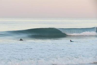 Surf Dream Surf Dream