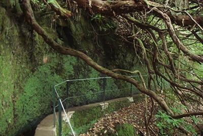 Caldeirao Verde Caldeirao Verde