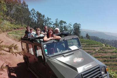 Poncha, Mountains and Vineyards Half-Day 4x4 Small-Group safari C