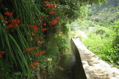 Serra D Serra D'Água Valley - Levada Walk