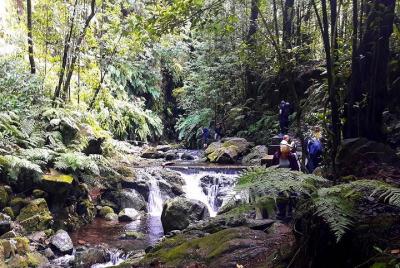 Hidden Corners: Levada Walk from Funchal