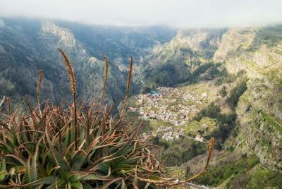 Small Group Madeira Half Day Tour from Funchal