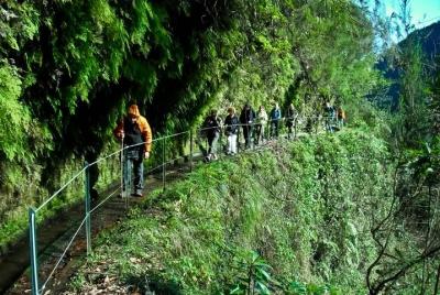 Kings Levada Kings Levada