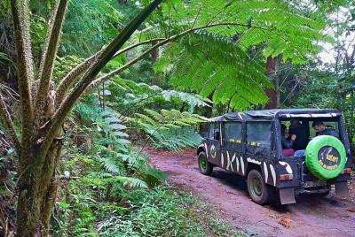 4x4 Jeep Safari - Half Day Adventure