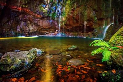 25 Water Sources Walk / Lost In The Beautiful Forest