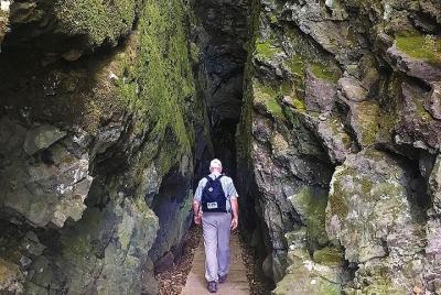 Ribeiro Frio To Portela / Watercolor Wood