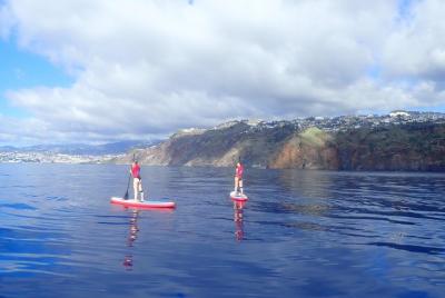 Garajau Nature Sea Reserve SUP Tour (Paddleboard) Garajau Nature Sea Reserve SUP Tour (Paddleboard)