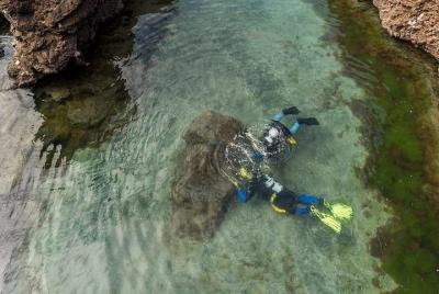 Diving Baptism - Porto Moniz Natural Pools