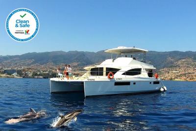 VipDolphins Luxury Whale Watching