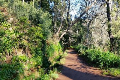 Paradise Valley - Camacha