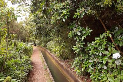Private Guided Walk Levada Faja dos Rodrigues half-day Private Guided Walk Levada Faja dos Rodrigues half-day