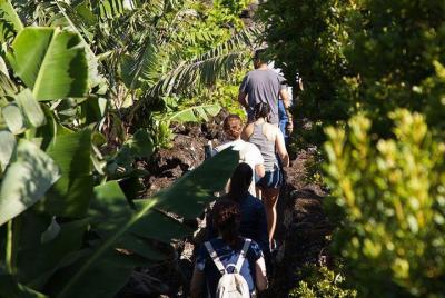 Banana Trip, a Full day tour at Pico with Round Trip from Faial i Banana Trip, a Full day tour at Pico with Round Trip from Faial i