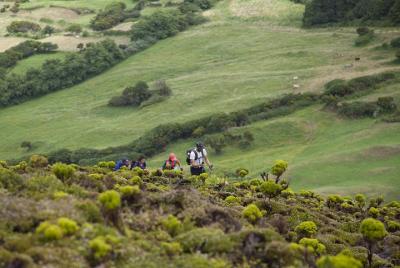 Hiking the 10 Volcanos Trail in Faial Island Hiking the 10 Volcanos Trail in Faial Island