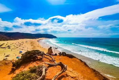 Wild and Wonderful West Coast Full Day Tour