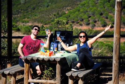 Private Full Day Guided Tour of the Algarve