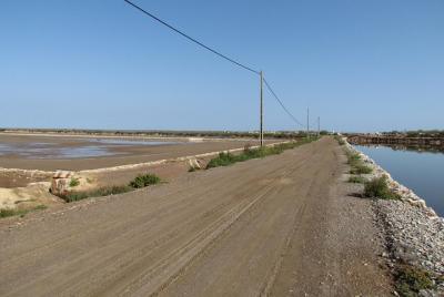Half-day birdwatching around Tavira