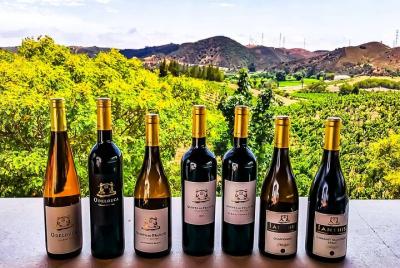 Small group Wine Tasting Tour from Lagos