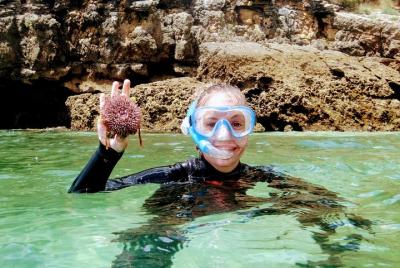Arrábida Snorkeling Adventure with Transfer from Lisbon Arrábida Snorkeling Adventure with Transfer from Lisbon