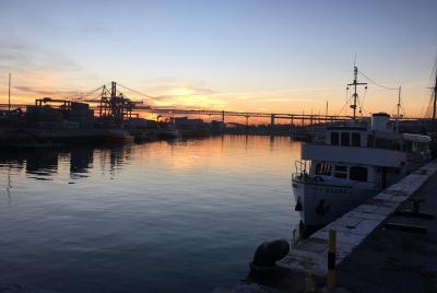 Lisbon E-Bike By Night