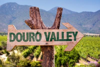 Douro Valley Wine Tasting, River Cruise and Lunch from Peso da Re