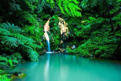 Private Excursion to the Termas de São Miguel