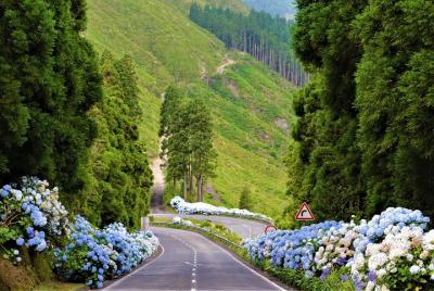 Seven Cities | The blue and green lagoon - Half day visit