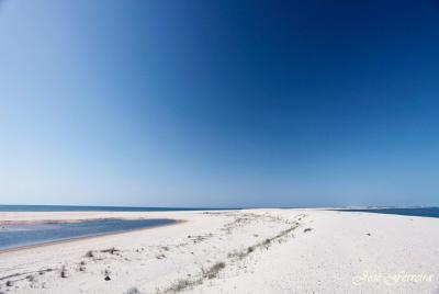 The Wonders of Ria Formosa- Boat Trip + Visit to Olhão Market The Wonders of Ria Formosa- Boat Trip + Visit to Olhão Market