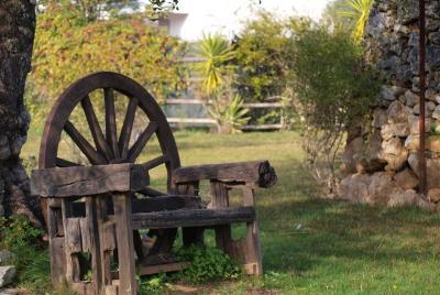 Flavours & Traditions