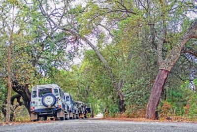 Super Day- Jeep Tour + Arade River Cruise Super Day- Jeep Tour + Arade River Cruise