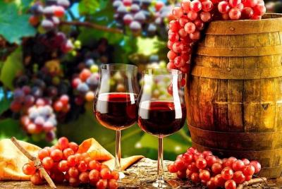 Douro Valley small-group tour from Porto with wine tasting and ri Douro Valley small-group tour from Porto with wine tasting and ri