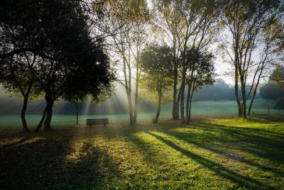 Private Nature Photography Workshop in Porto