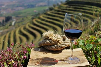 Douro Valley Tour Including 3 Wineries to Small Groups  Douro Valley Tour Including 3 Wineries to Small Groups