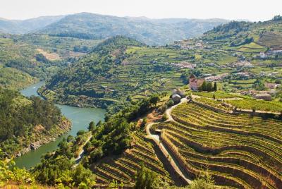 Douro Valley Full Day Tour with Lunch and Wine Tastings