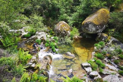 Walk with Monte de Covelinhas guide Walk with Monte de Covelinhas guide