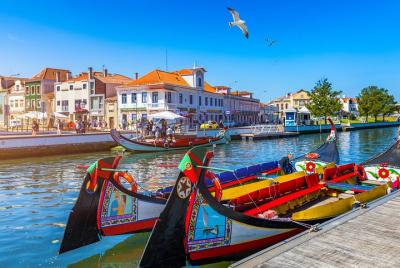 Aveiro & Costa Nova Half Day Tour from Porto with Moliceiro River
