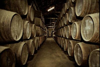 Port Wine Lodges Tour Including 7 Wine Tastings