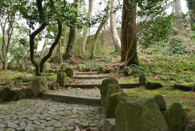 Discovery Walk in Porto's Jardins do Palácio de Cristal: fairytal