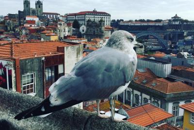 Porto Tour with Wine Tasting