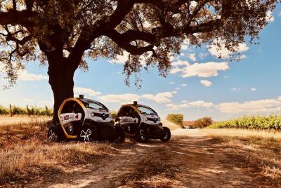 Evora Megalithic: Self-Drive Private Tour in E-Cars