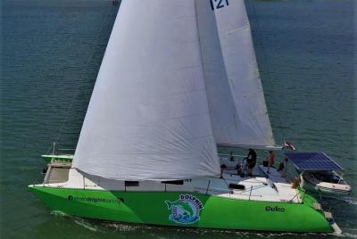 Catamaran Sailing Relaxing and Dolphin Watching in Setúbal