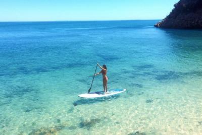 Stand Up Paddle in Marine Sanctuary  Stand Up Paddle in Marine Sanctuary