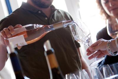 Guided Visit and Reserva Wine Tasting