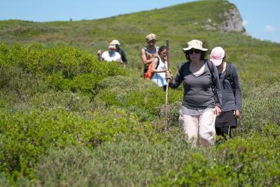 Ultra Adventure Walk